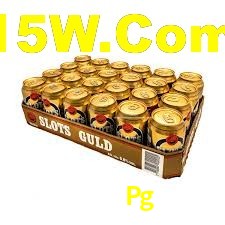 Experimente o Login Seguro Premium no 0055Pg